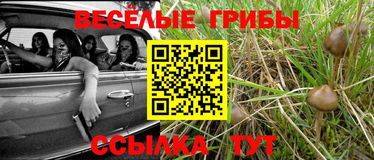 Псилоцибиновые грибы ЛСД Дербент